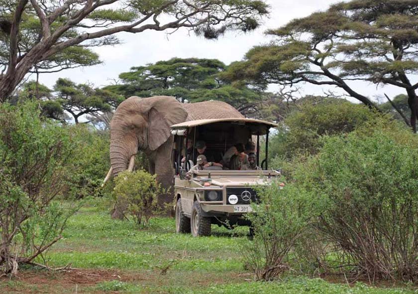 Rongai Route - 9 Days Kilimanjaro Climbing