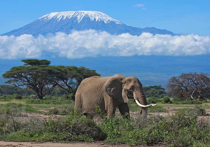 Umbwe Route - 8 Days Kilimanjaro Climbing
