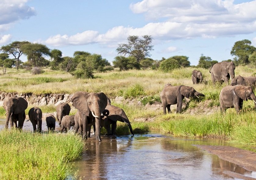 4-Day Taste of Tanzania - Tarangire, Serengeti & Crater