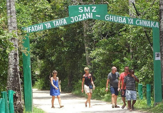 Jozani Forest, Spice Tour & Prison Island
